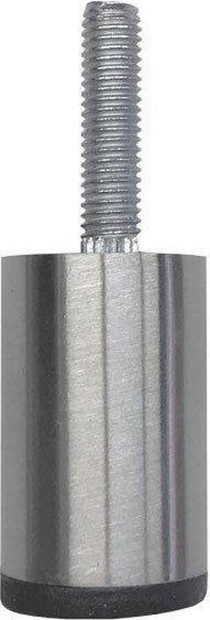 Furniture Legs Europe FLE Stalen meubelpoot rvs look rond ø 2 5 cm en hoogte 4 cm (M8)