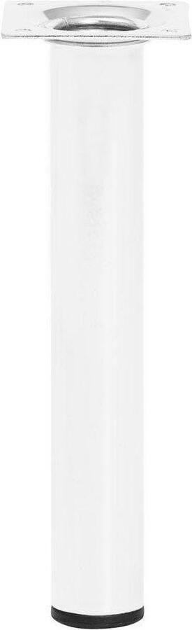 Furniture Legs Europe FLE Stalen meubelpoot wit rond ø 3 cm en hoogte 20 cm