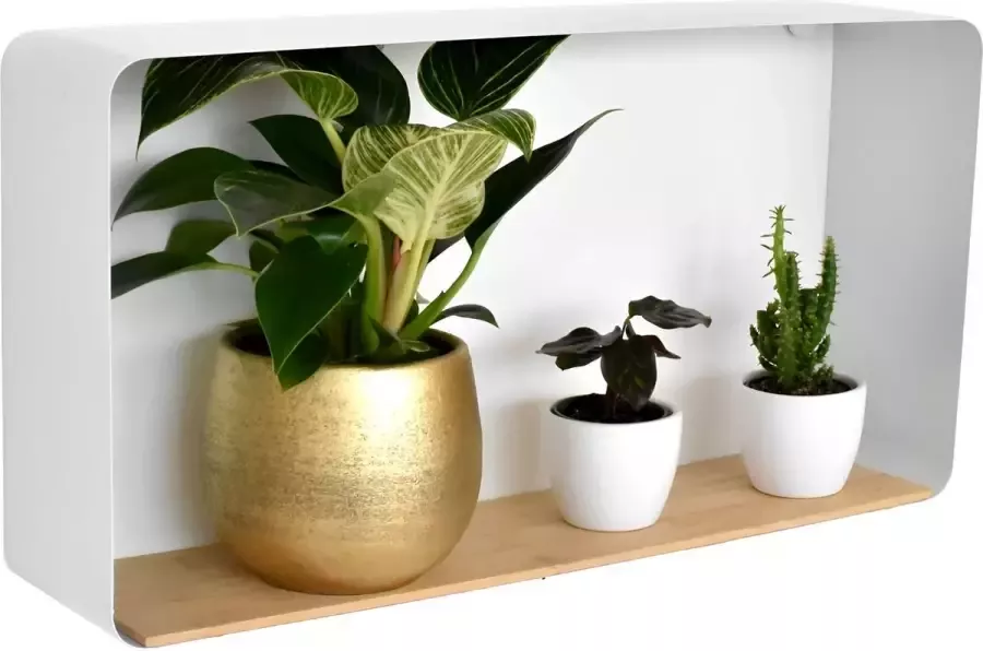 Galeara Design Wandrek rechthoekig 57cm x 29cm x 12cm.- Wandschap wit met hout wandplank Zoox Wandschappen design metaal - Foto 2