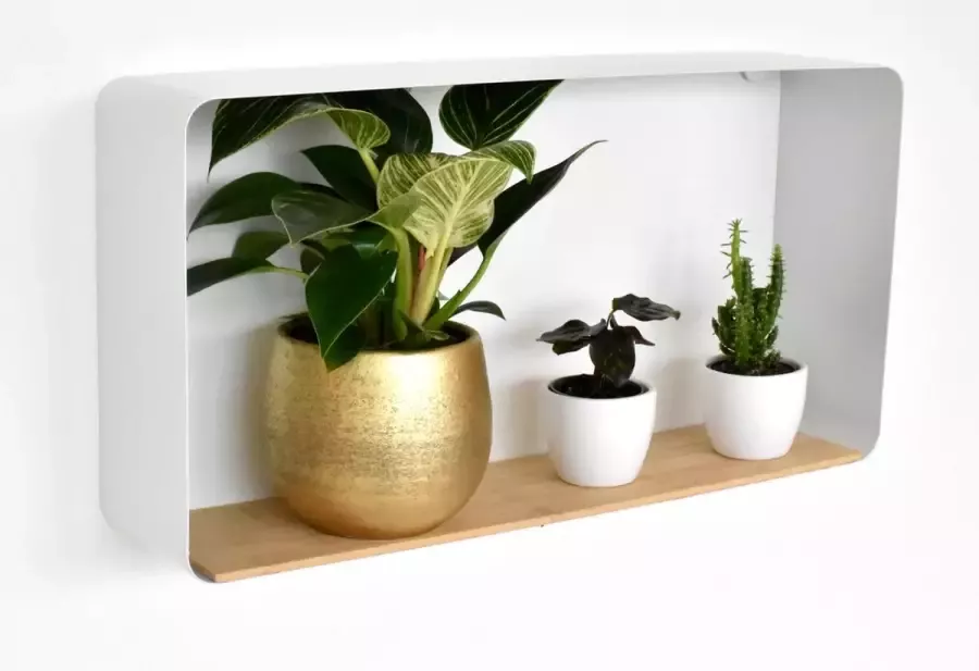 Galeara Design Wandrek rechthoekig 57cm x 29cm x 12cm.- Wandschap wit met hout wandplank Zoox Wandschappen design metaal