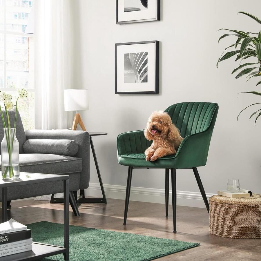 Ganeey etkamerstoelen Set van 6 – Luxe Fluwelen Stoelen met Armleuningen – Comfortabele Design Fauteuils met Metalen Poten – Ergonomische Gestoffeerde Stoelen tot 120 kg Draagkracht – Groen & Inktzwart – Voor Eetkamer Keuken Lounge of Slaapkamer