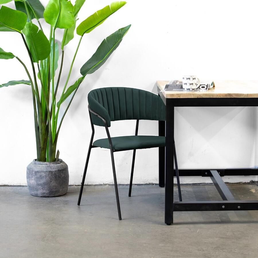 Giga Meubel Eetkamerstoel Groen Velvet Stof & Metaal Zithoogte 48cm Stoel Turin Velvet Groen Set van 2