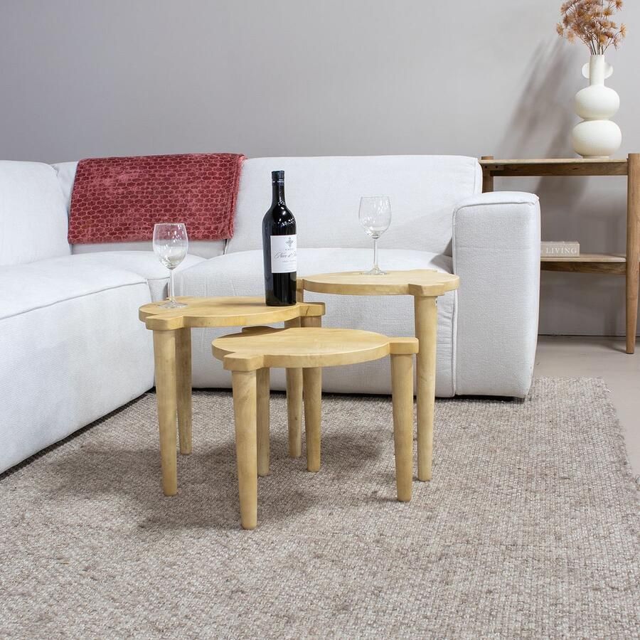 Giga Meubel Salontafel Naturel Mangohout Set Van 3 Jiska