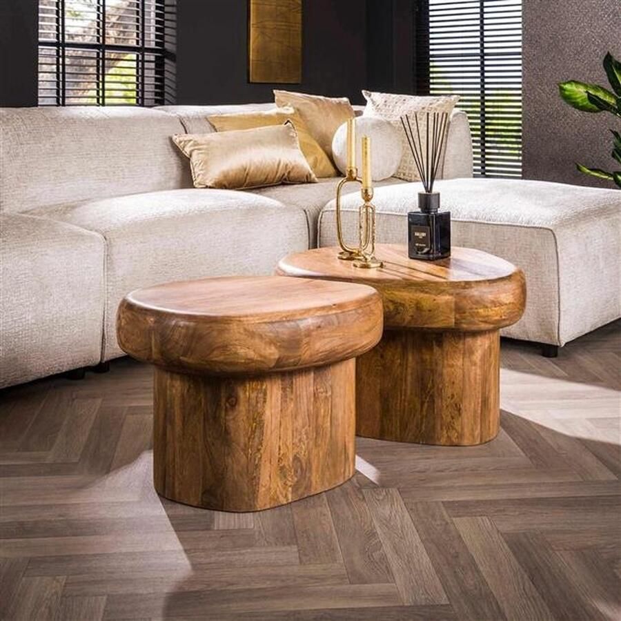 Giga Meubel Salontafel Kiezelvormig Mangohout Set Van 2 Sleek