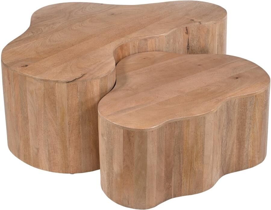 Giga Meubel Salontafel Moos Organisch Naturel – Mangohout – Scandinavisch – 100 cm