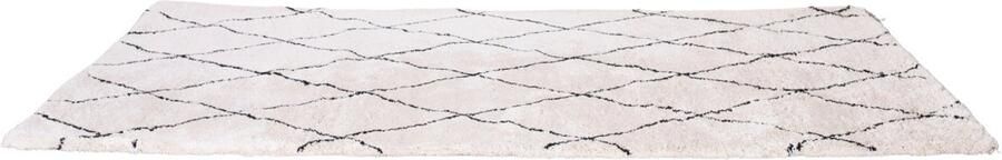 Giga Meubel Vloerkleed Troy Wit Zwart Geruit 200x300cm
