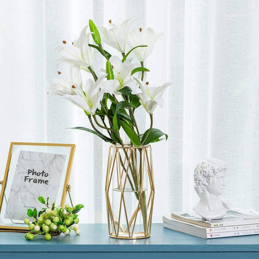 Glasseam Glazen bloemenvaas goud moderne kleine vazen voor pampasgras met geometrisch metalen rek voor kunstbloemen hydrocultuur woonkamer eettafel decoratie bruiloft centraal bloemstuk