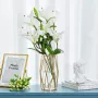 Glasseam Glazen bloemenvaas goud moderne kleine vazen voor pampasgras met geometrisch metalen rek voor kunstbloemen hydrocultuur woonkamer eettafel decoratie bruiloft centraal bloemstuk - Thumbnail 1
