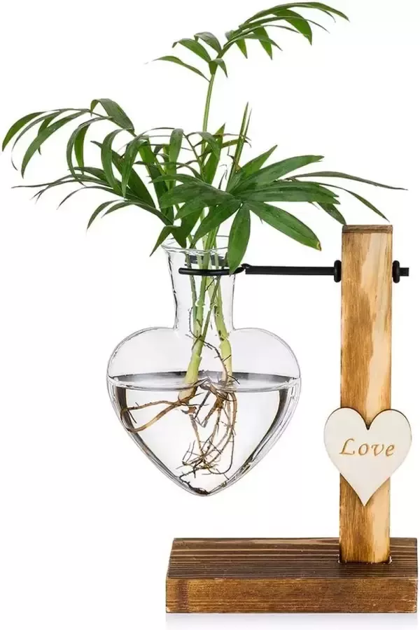 Glasseam Glazen Bud Vaas met Houten Stand Creatieve Enkele Hart Glas Hydroponische Vazen Moderne Plant Propagation Station Desktop Planter Lamp Vaas voor Home Garden Office Decoratie