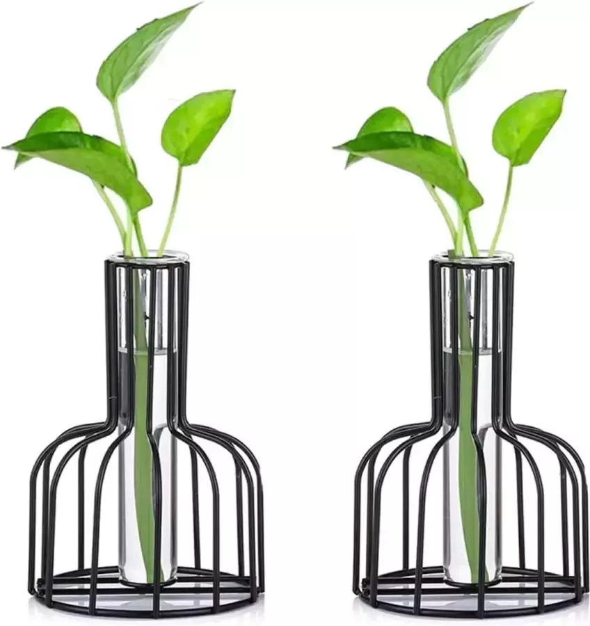 Glasseam Glazen voortplantingsstation met metalen frame set van 2 zwarte bloemenvazen reageerbuisvaas voor hydrocultuur plant kleine knopvaas voor thuis keuken kantoor tafelblad zwart