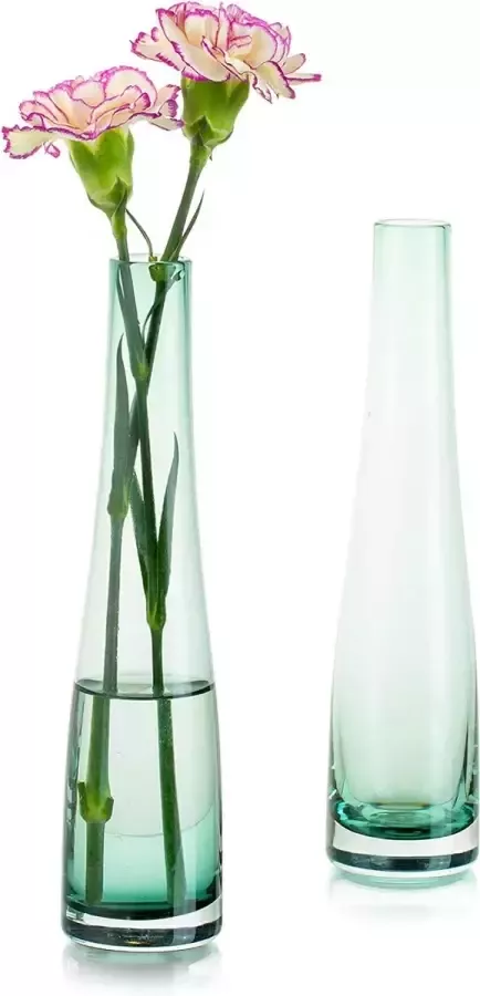 Glasseam Kleine glazen vaas voor bloemen 2 stuks groene eenvoudige knop vaas lange dunne smalle nek vazen voor thuis woonkamer kantoor indoor decor bruiloft tafel desktop centrepieces