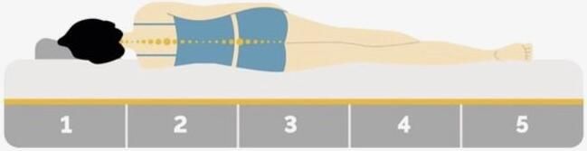 Golden Matrassen Zeeland Topper EasyTop 90x200 Topdekmatras 5 CM SG 25 Koudschuim