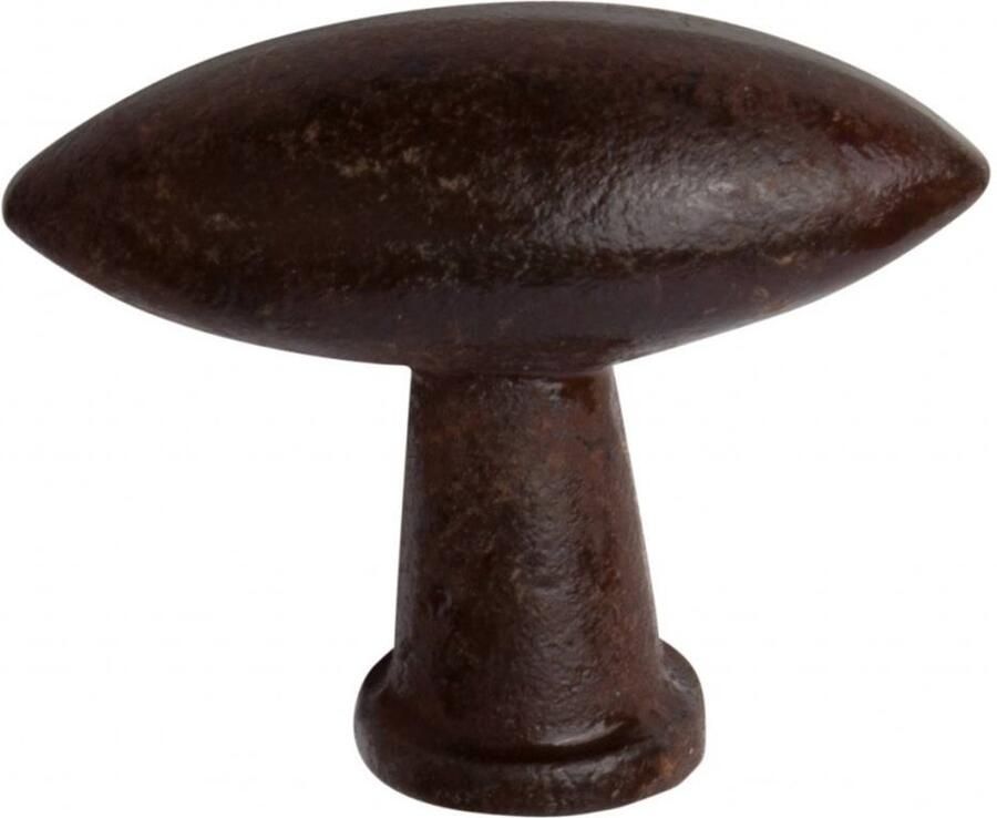 Good in Style Gietijzeren Ovale Kastdeurknop Rustieke Charme voor Jouw Meubels Roest 46mm