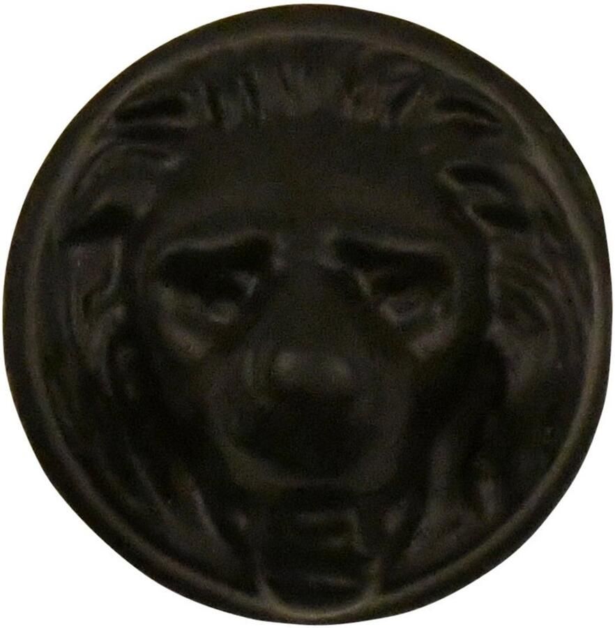 Good in Style Meubelknop Lionheart 29mm Roest