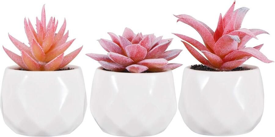 Goodivery Kunstvetplanten 3 stuks kunstplanten met pot kleine kunstplant voor tafel huis balkon kantoor decoratie