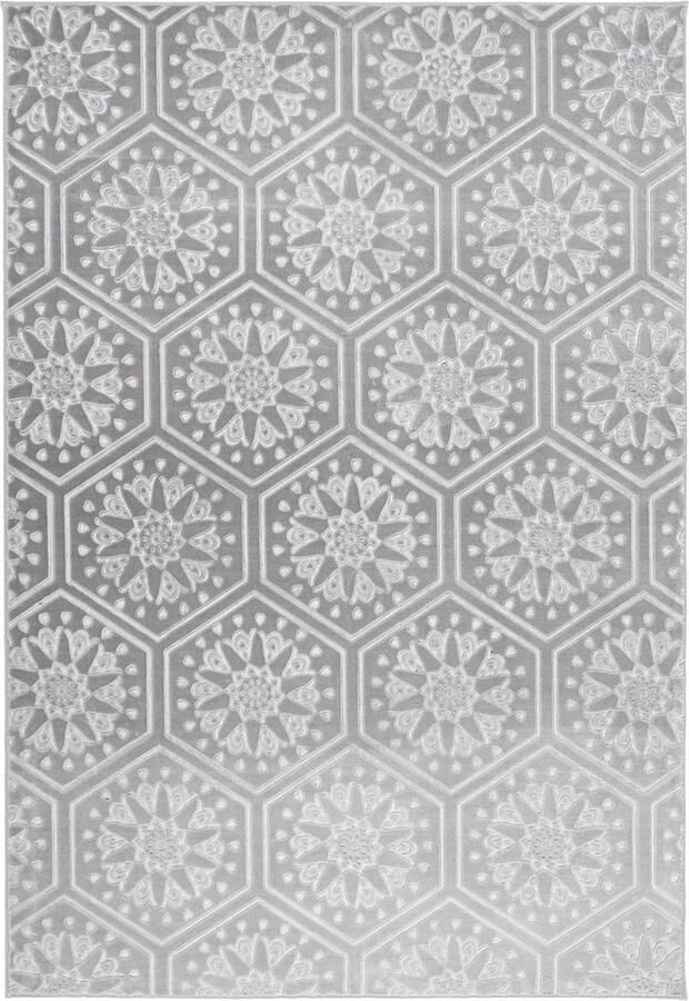 Goodivery Modern Grijze Tapijt Met 3D Bloemenpatroon Voor Woonkamer Slaapkamer Kantoor 160x230 cm