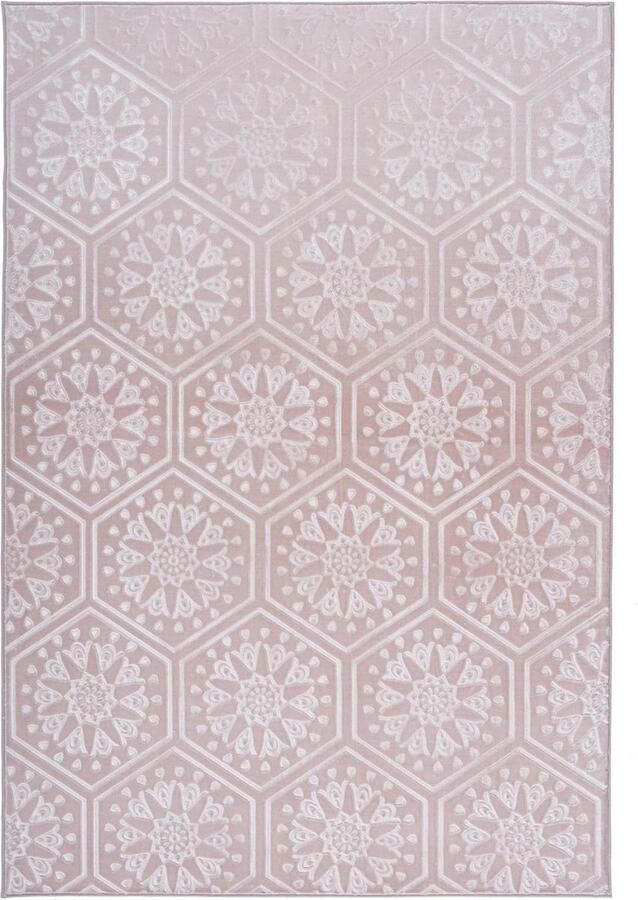 Goodivery Modern Vloerkleed met Bloemenpatroon en 3D Ontwerp voor Woonkamer Slaapkamer en Kantoor Roze 200 x 290 cm