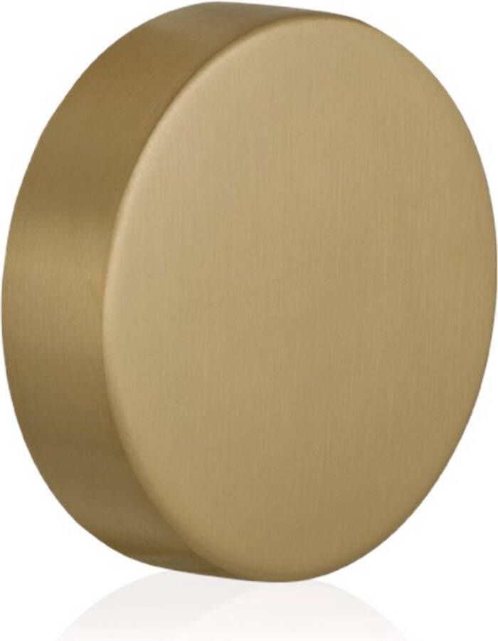 GPF excentrische knop ten behoeve van veiligheidsschilden vast RVS Messing