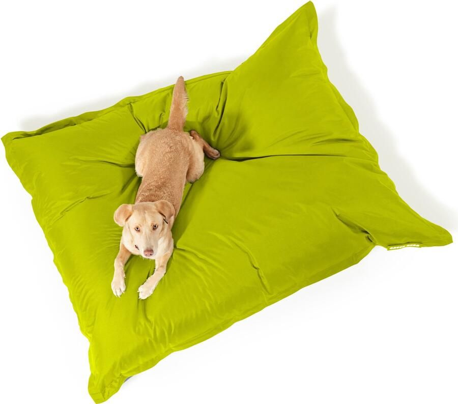 Green Bean Hondenbed voor middelgrote en grote honden 120x160cm: Hondenkussen Hondenmat Hondenslaapplaats Huisdierbed Hondensofa Slaapbed Hondenmatras Hondenbed