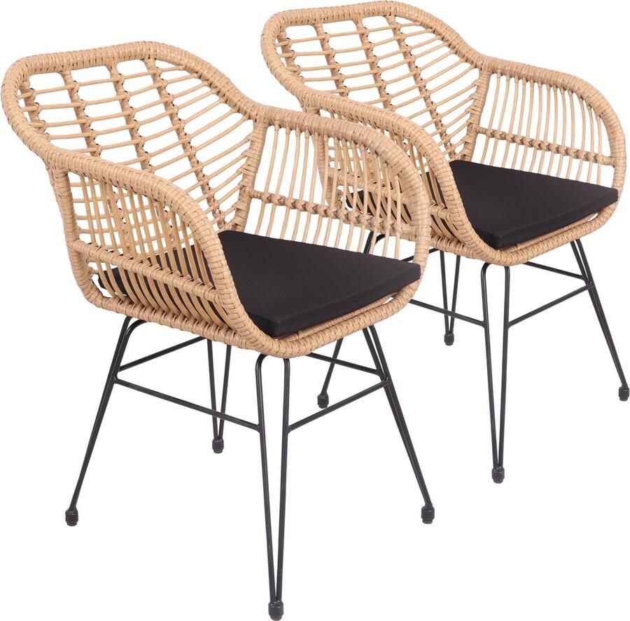 Happy Garden Set van 2 kunststof rotan fauteuils met kussens CINTA