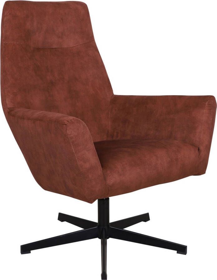 Happyment Luxe velvet fauteuil Voor binnen Rustic Loungestoel met hoofdkussen Volwassenen Loungezetel Modern