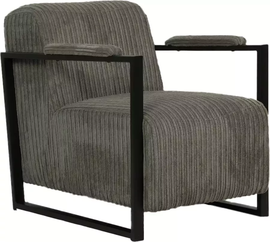 Happyment Moderne Fauteuil Voor binnen Grijs Loungestoel met hoofdkussen Volwassenen Loungezetel Modern