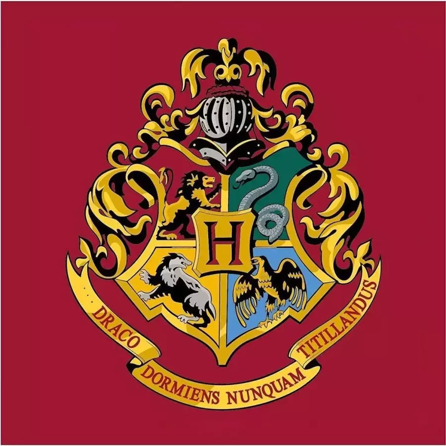 Harry Potter Vloerkleed 80x80cm