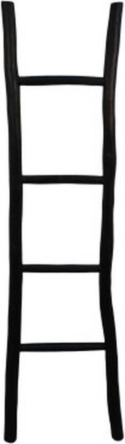 HSM Collection -Decoratieve Ladder -45x4x150-Zwart-Teak