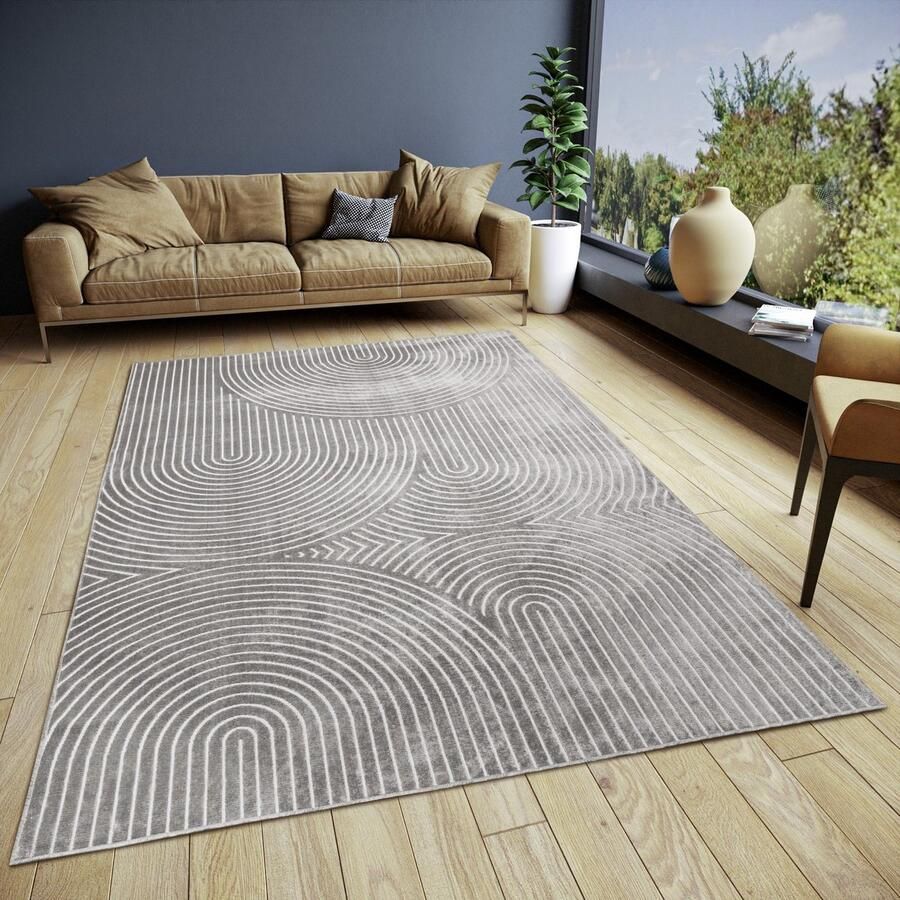 HH Flycarpets Japandi Vloerkleed Laagpolig Viscose Grijs 120x160 cm