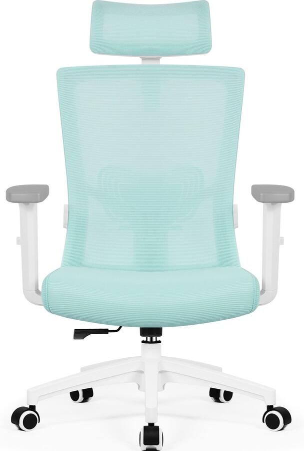 Hiaonyx bureaustoel-ergonomische bureaustoel-bureaustoelen voor volwassenen-hoogte verstelbare armleuningen-2D lendensteun-Maximale kanteling 135°- Groente