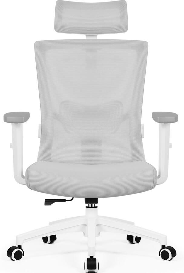 Hiaonyx bureaustoel-ergonomische bureaustoel-bureaustoelen voor volwassenen-hoogte verstelbare armleuningen-2D lendensteun-Maximale kanteling 135°-Grijs