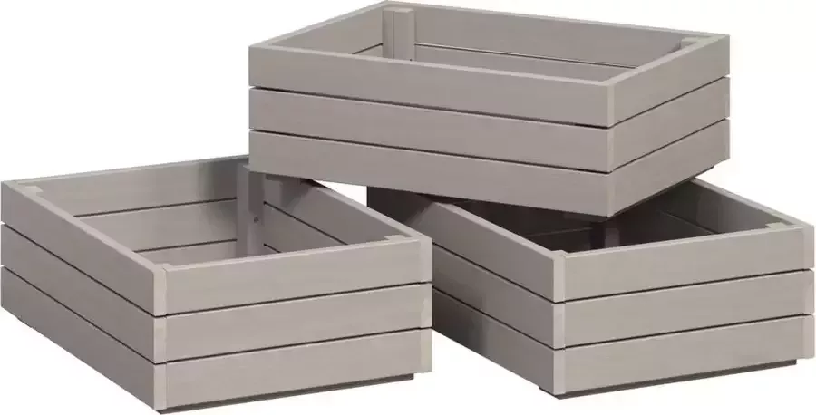INTER-FURN Lade Arona houten kist set van 3 massief houten kratten grenen grijs was bxhxd: 45x15x32 cm (3 stuks) - Foto 2