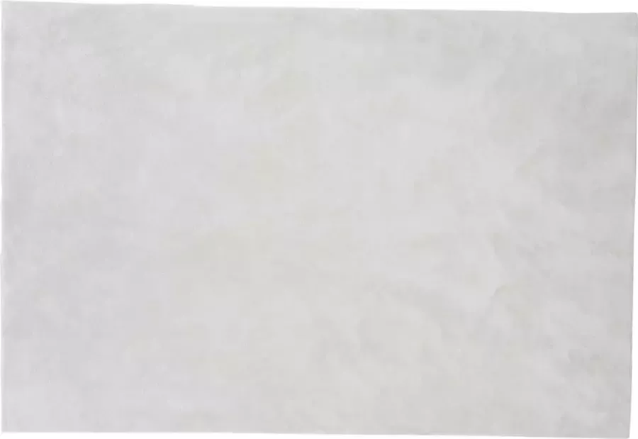 Hioshop Blanca vloerkleed 230x160 cm polyester wit