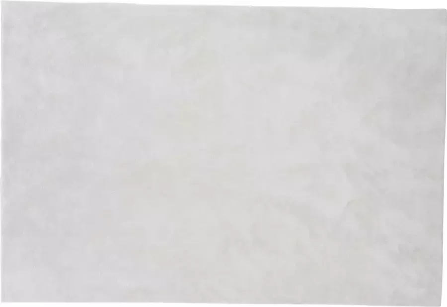 Hioshop Blanca vloerkleed 300x200 cm polyester wit.