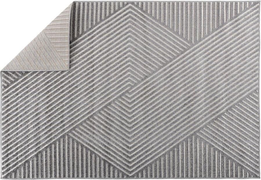 Hioshop Aron vloerkleed 240x340 cm grijs