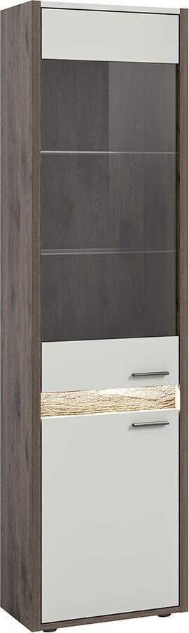 Hioshop Falcona vitrinekast 2 deuren incl. LED-verlichting lichtgrijs