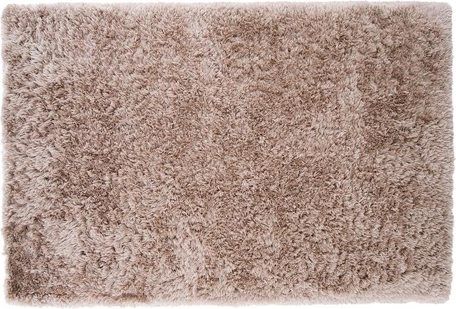 Hioshop Grace vloerkleed 300x400 cm beige