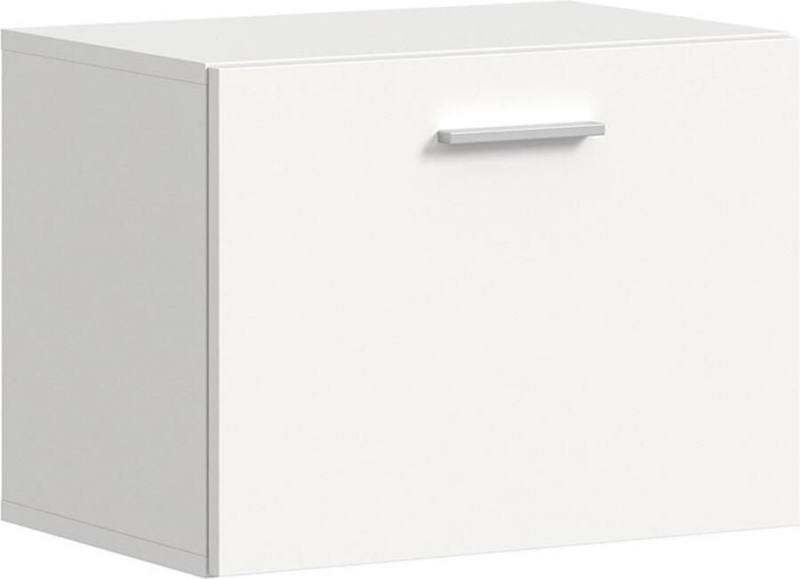 Hioshop Vaga schoenenkast wandgemonteerd 52x39cm 1 klepdeur wit