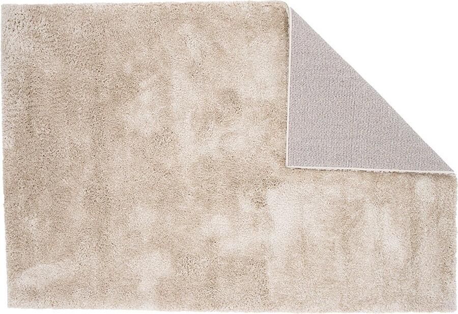 Hioshop Walter vloerkleed 230x160cm beige