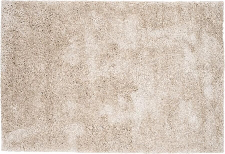 Hioshop Walter vloerkleed 290x200cm beige