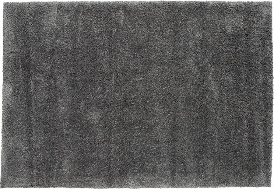 Hioshop Walter vloerkleed 290x200cm donkergrijs