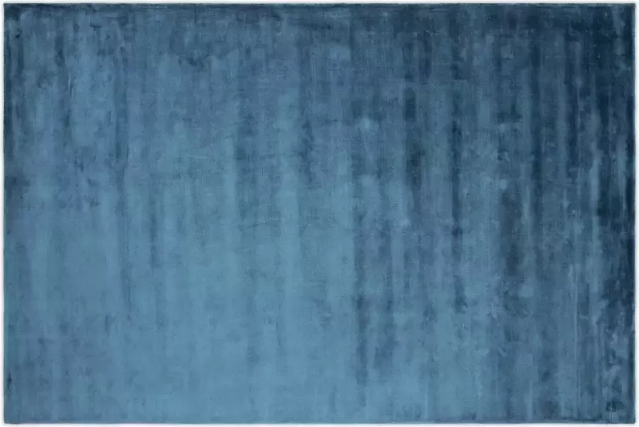 Hioshop Indra vloerkleed 300x200 cm viscose blauw.