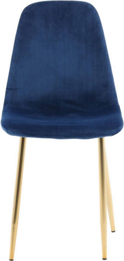 Hioshop 2 x Polar eetkamerstoel velours blauw messing decor.