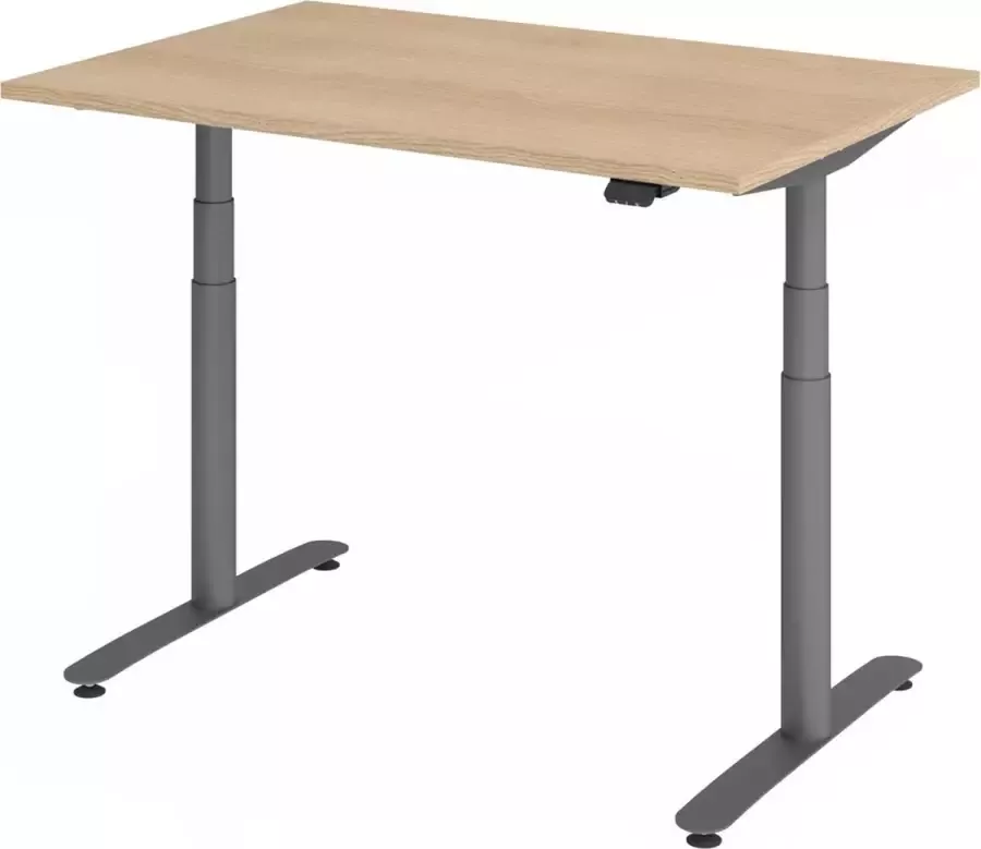 Hjh OFFICE PRO XDLR 12 G 120x80 Bureau elektrisch in hoogte verstelbaar 120x80 Eiken Tafelhoogte I Elektrisch in hoogte verstelbaar
