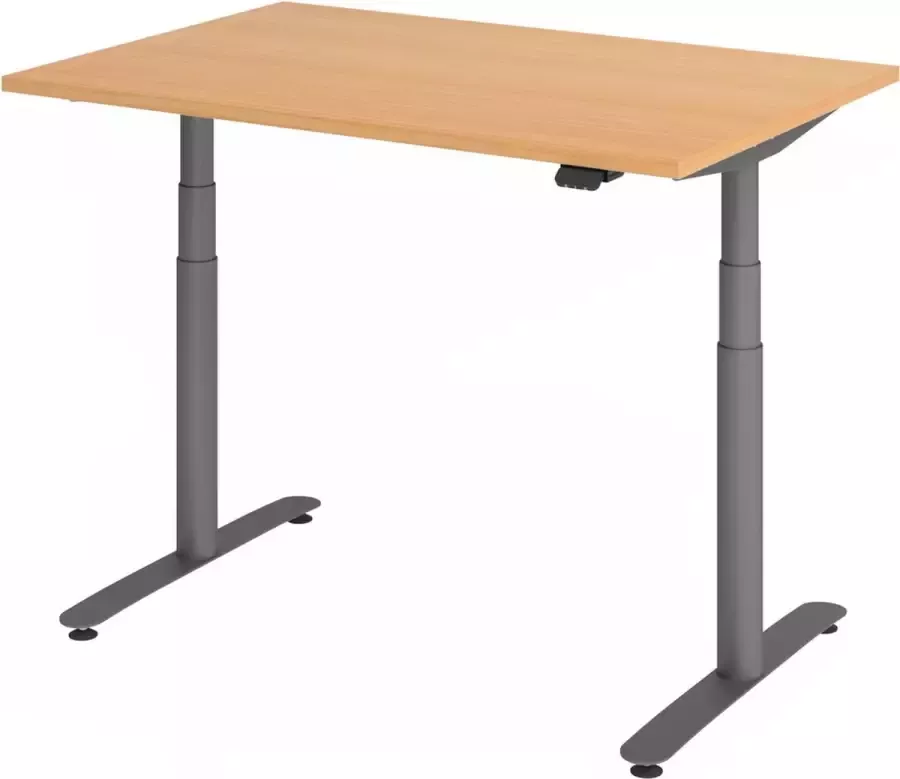 Hjh OFFICE PRO XDLR 12 G 120x80 Bureau elektrisch in hoogte verstelbaar Beuken 120x80 Tafelhoogte I Elektrisch in hoogte verstelbaar