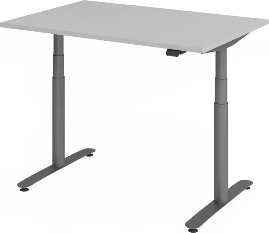 Hjh OFFICE PRO XDLR 12 G 120x80 Bureau elektrisch in hoogte verstelbaar Grijs 120x80 Tafelhoogte I Elektrisch in hoogte verstelbaar