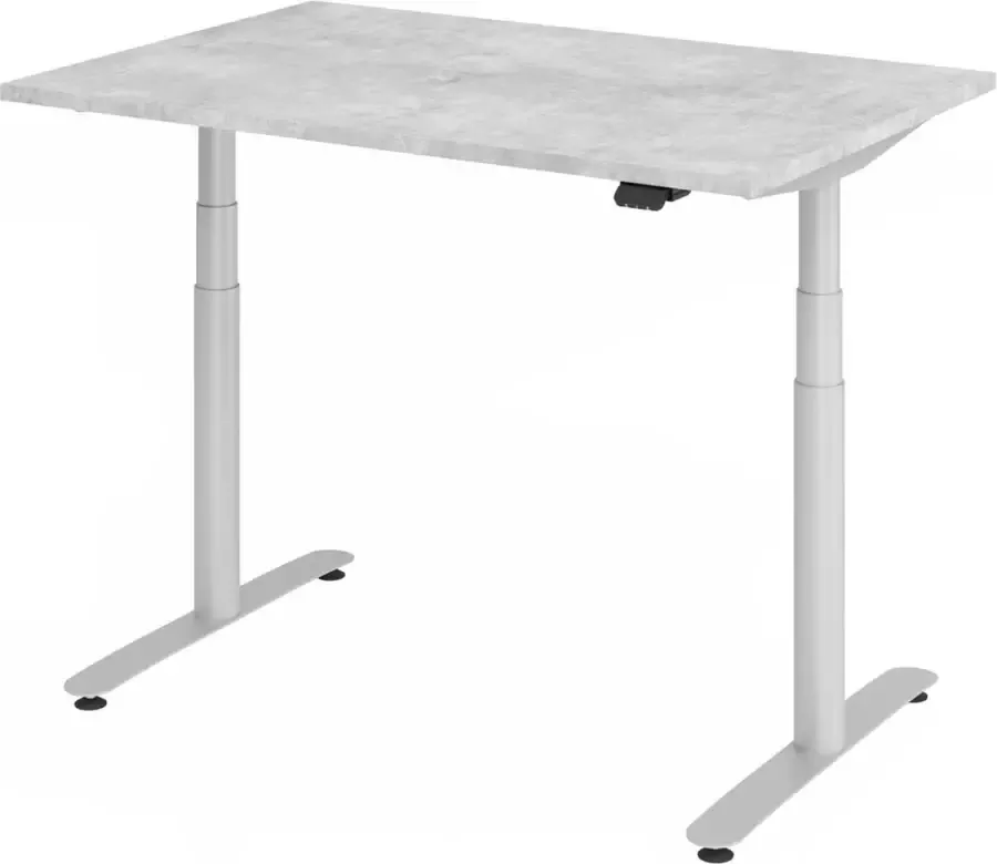 hjh OFFICE PRO XDLR 12 S 120x80 Bureau elektrisch in hoogte verstelbaar 120x80 Beton Tafelhoogte I Elektrisch in hoogte verstelbaar