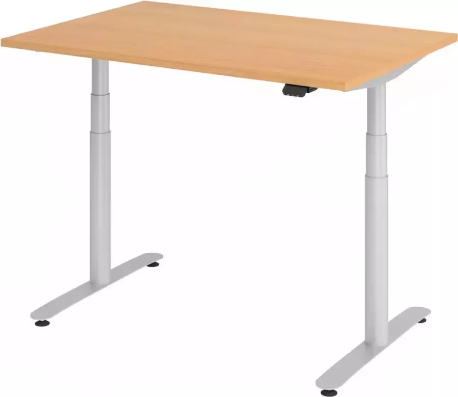 Hjh OFFICE PRO XDLR 12 S 120x80 Bureau elektrisch in hoogte verstelbaar Beuken 120x80 Tafelhoogte I Elektrisch in hoogte verstelbaar