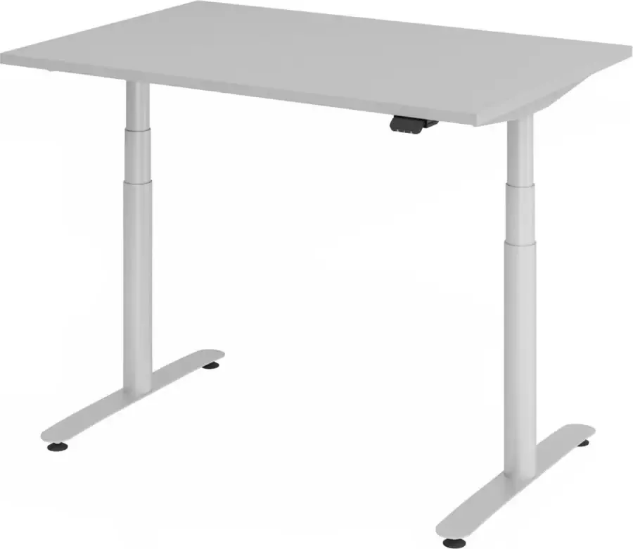 Hjh OFFICE PRO XDLR 12 S 120x80 Bureau elektrisch in hoogte verstelbaar Grijs 120x80 Tafelhoogte I Elektrisch in hoogte verstelbaar