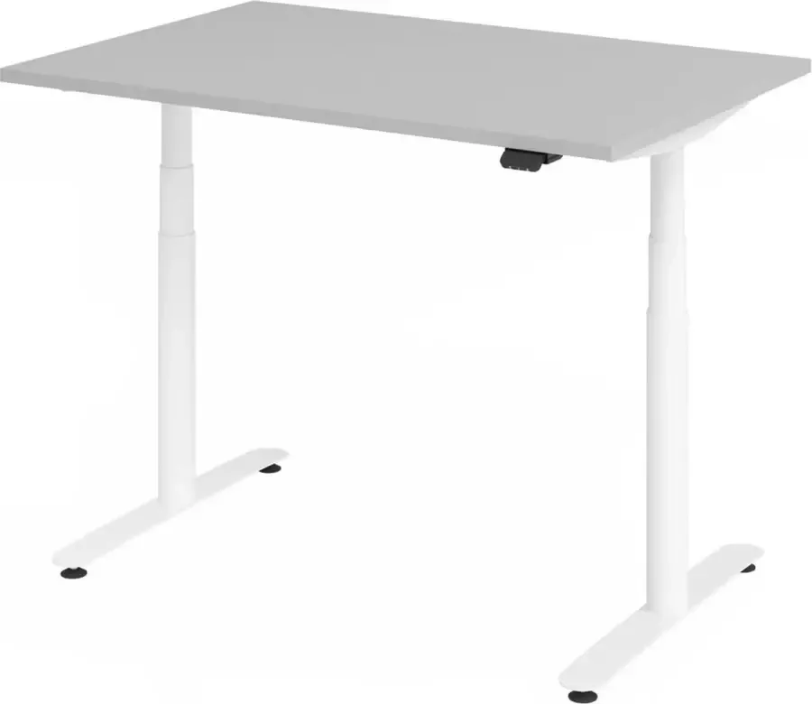 Hjh OFFICE PRO XDLR 12 W 120x80 Bureau elektrisch in hoogte verstelbaar Grijs 120x80 Tafelhoogte I Elektrisch in hoogte verstelbaar